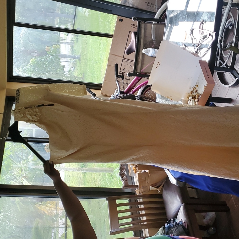 Lace gown